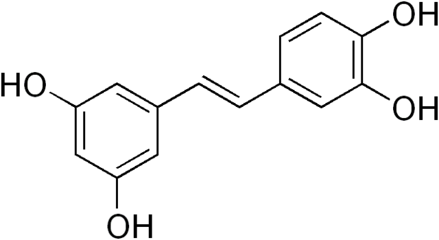 白皮杉醇 - 示意圖